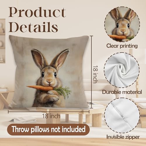Easter Bunny Carrot Throw Pillow Cover 18x18 - Soft Flannelette Spring Decor