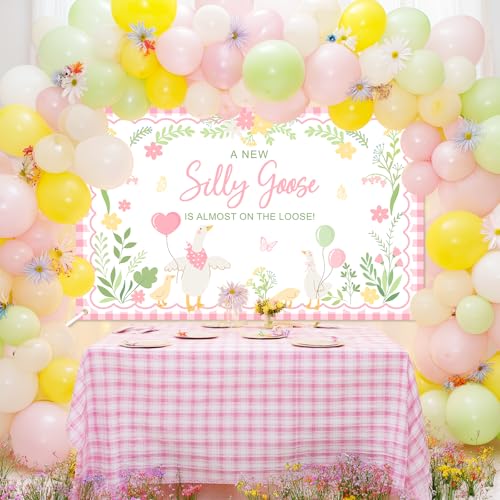 Silly Goose Baby Shower Banner - Pink Plaid Floral Backdrop (6x3.6ft)