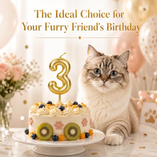 CARGEN Gold 3D Birthday Number Candle for Mini Cakes | Chubby Design