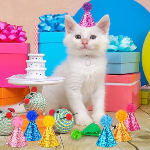 10 PCS Mini Party Hats for Stuffed Animals and Small Pets, Cone Style