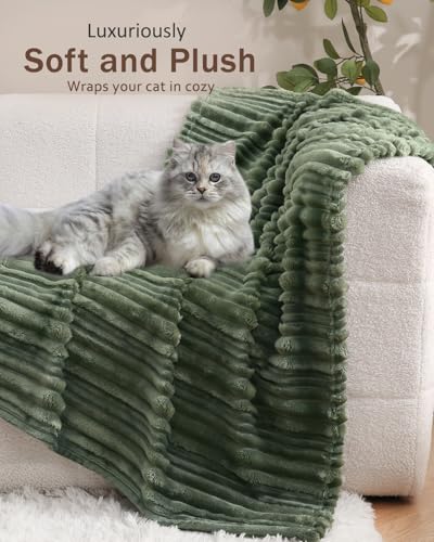 HOMRITAR Baby Fleece Blanket, 30x40 Soft Plush Crib Throw - Olive Green