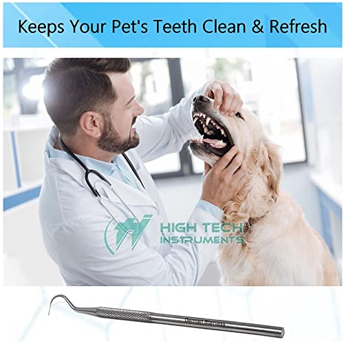 High Tech Instruments Stainless Steel Dental Explorer #23 Tartar Remover