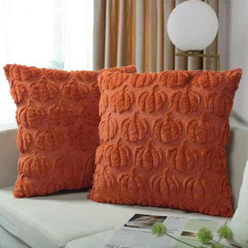 Robvobe Fall Pumpkin Pillow Covers 18x18 Set of 2 Autumn Decor Plush Jacquard