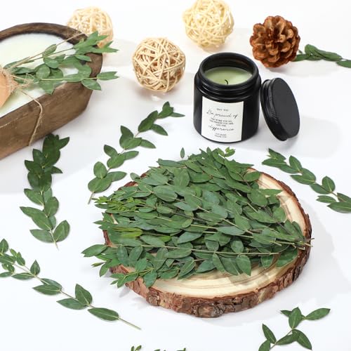 50 Pcs 6 Inch Dried Eucalyptus Leaves - Green Natural Decor