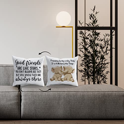 Inspirational Elephant Friendship Throw Pillow Cover, 18x18 Inch Flannelette