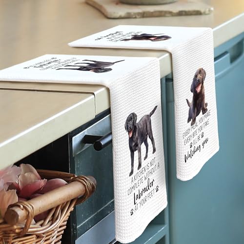 Labrador Kitchen Towels Set of 2 - Decorative Dish Towels 16x24