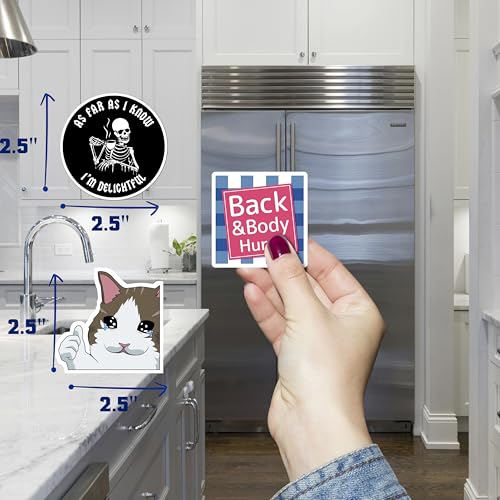 Debinolo Funny Fridge Magnets - 16 Piece Meme Set for Kitchen and Office