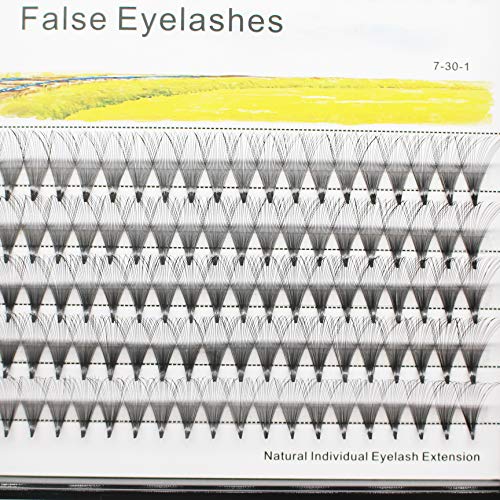 Dedila Premade Volume Fans Eyelashes 0.07mm D Curl 14mm Individual Cluster Lashes