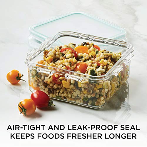 LocknLock Purely Better 20-Ounce Square Food Storage Container