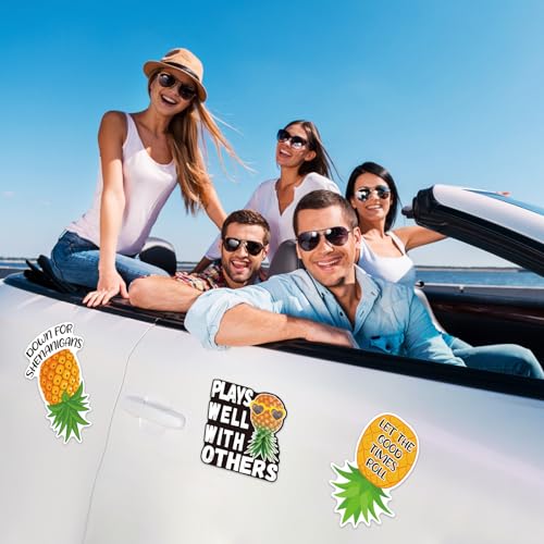 Set of 4 Upside-Down Pineapple Magnetic Door Decor for Cruise, Fridge & Vehicle