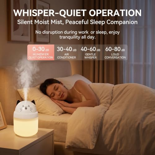 Portable Small Humidifier with Night Light - USB, Auto Shut-Off, 220ml