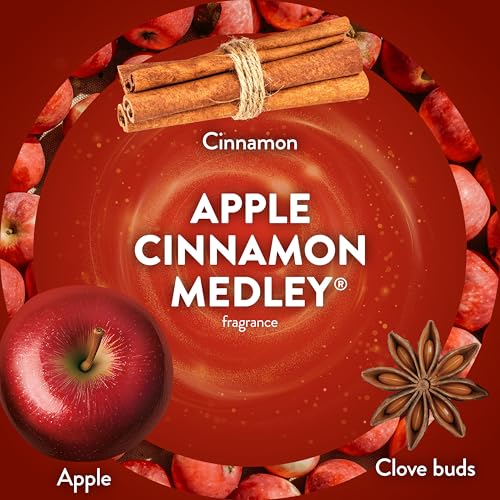 Air Wick Apple Cinnamon Medley Scented Oil Refill 1.34 Fl Oz - 2ct