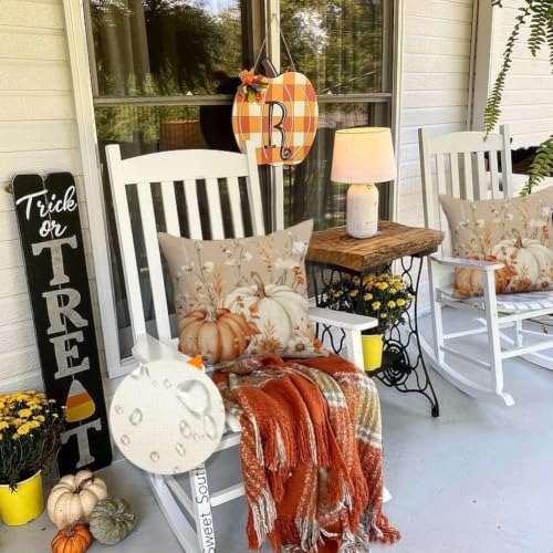 Fall Pumpkin Throw Pillow Covers 18x18, Waterproof Brown Set of 2