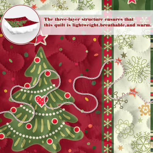BlessLiving Christmas Patchwork King Quilt Set - Holiday Bedspread 3-Piece