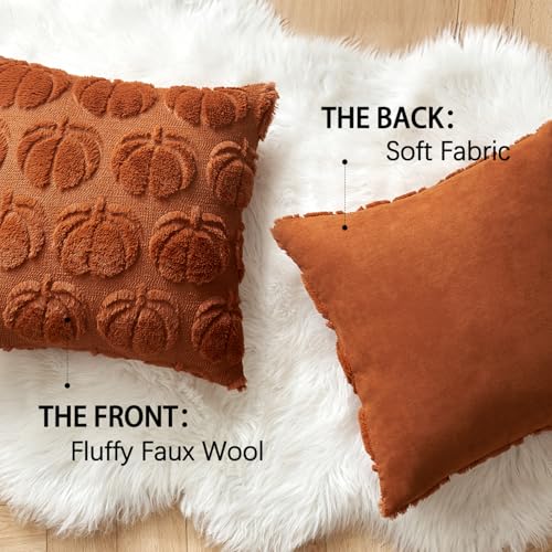 MIULEE Fall Pumpkin Pillow Covers 18x18, Dark Rust Faux Fur (Set of 2)