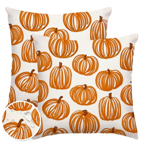 Outdoor Pillow Covers Set of 2 - 18x18 Orange Pumpkin Decor