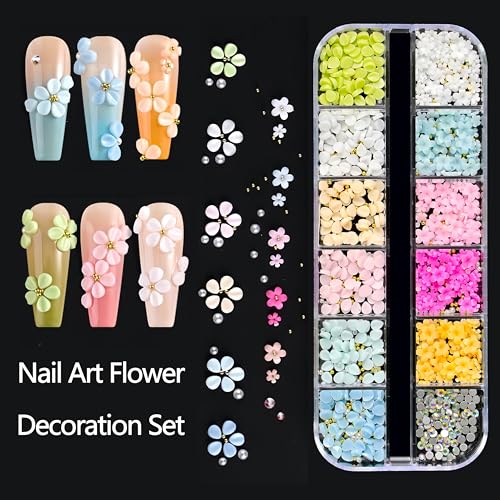 Tephrent 2 Boxes 3D Flower Nail Charms & Caviar Beads Rhinestones Set