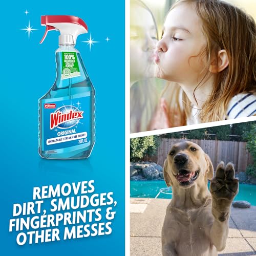Windex Original Blue Glass Cleaner Spray - 23 Oz Streak-Free Shine