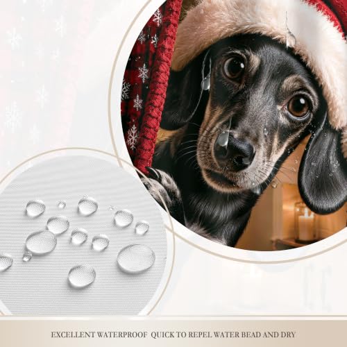 Christmas Dachshund Shower Curtain - Cute Holiday Bathroom Decor, 60"W x 72"L (Pack of 1) - Red & Green Festive Design