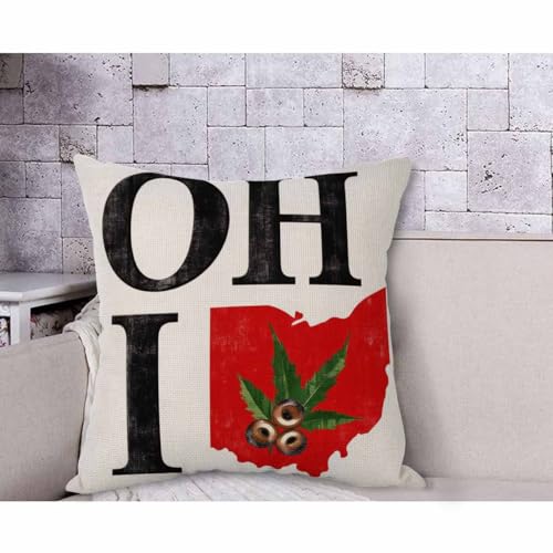 Ohio State Throw Pillow Cover 18x18 Vintage Buckeye Nut - Multi-a193