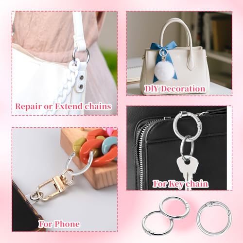 20pcs 1 Inch Round Spring O Rings Round,Meta Carabiner Clip Snap,Alloy Purse Clip Keychain Ring for Keyrings Buckle,Bags,Purses