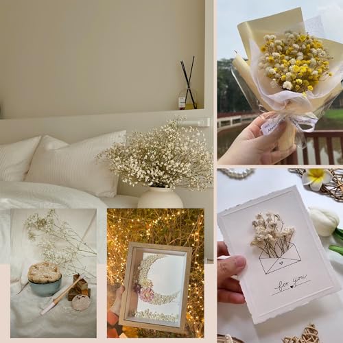Dried Baby's Breath Bouquet - Pure White Gypsophila Flowers for DIY Decor