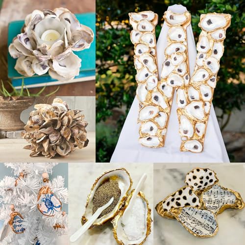 HOHUCRAB 10Pcs 3-4 Inch Natural Flat Oyster Shells for Crafts and Decor