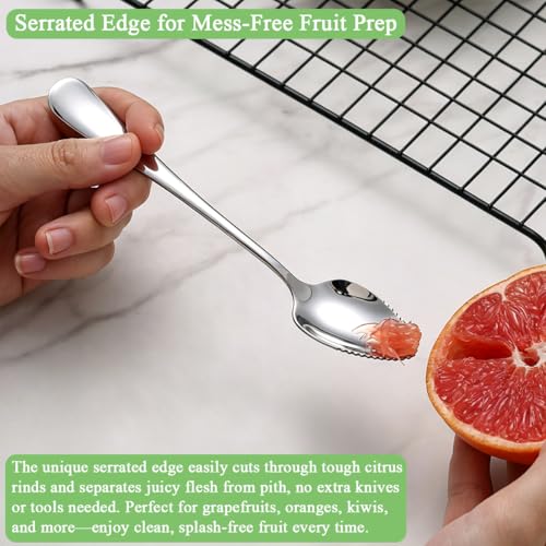 Berglander Serrated Grapefruit Spoons - 6-Piece Stainless Steel Utensil Set