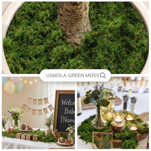 8oz Realistic Fake Green Moss for Crafts & Indoor Plants