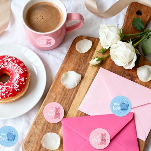 54pcs Gender Reveal Stickers - Team Boy or Girl Round Stickers