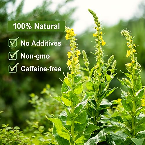 FullChea Mullein Leaf Tea - 2.5oz Cut & Sifted Loose Leaves
