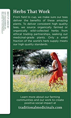 Organic Ginger Herbal Tea - Promotes Healthy Digestion (Pack of 2)