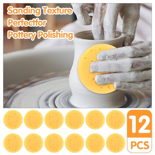 Natural Cellulose Kitchen Sponges - 12 Pack Eco-Friendly Dishwashing Sponges