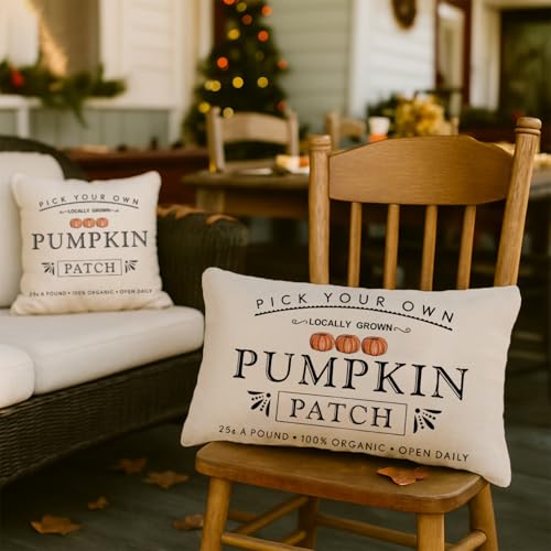 Autumn Pumpkin Patch Throw Pillow Cover - Farmhouse Style 12x20