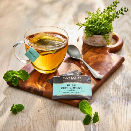 Taylors of Harrogate Organic Peppermint Herbal Tea, 20 Individually Wrapped Bags