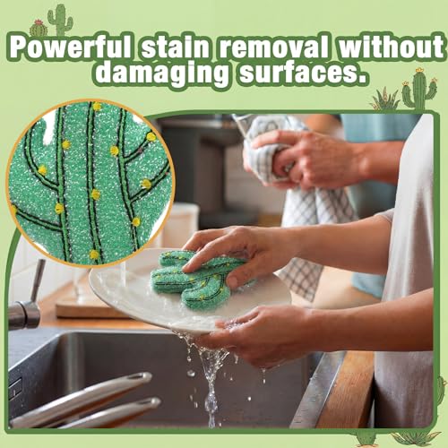 Cactus Sponge Dish Scrubbers - 12 Pcs Non-Scratch Kitchen Cleaning Tools