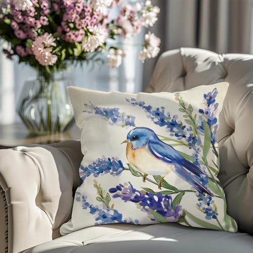 Hello Spring Bluebird Decorative Throw Pillow Covers - Set of 4