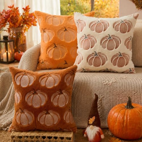 DFXSZ 18x18 Rust Pumpkin Fall Pillow Covers Set of 2 Plush Autumn Home Decor