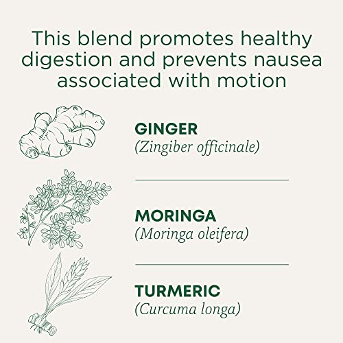 Traditional Medicinals Organic Ginger Aid Digestive Tea Pack of 3 - 16 Tea Bags Each