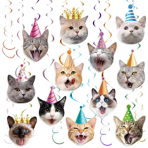 30-Piece Cat Theme Hanging Swirl Decorations for Birthday Parties