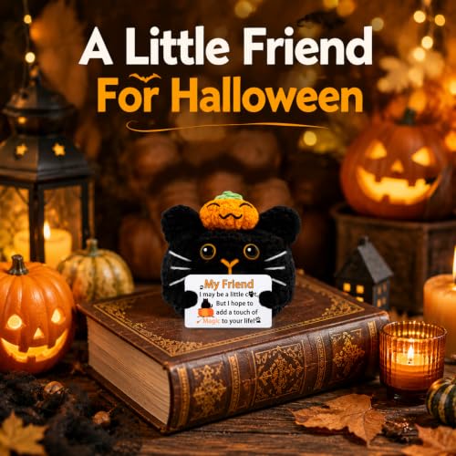 Hixkvpen Halloween Black Cat Gift Basket Stuffer - Cat-friend Variant, Cute & Spooky Decor