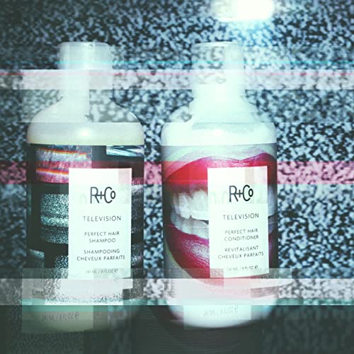 R+Co TELEVISION Perfect Hair Shampoo – Hydrating & Smoothing Cleanser
