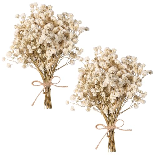 Dried Baby's Breath Bouquet - Pure White Gypsophila Flowers for DIY Decor