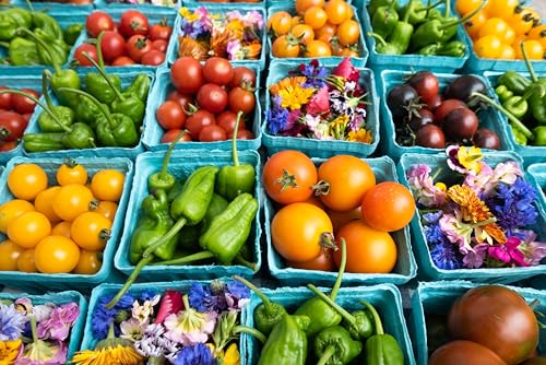 Green Berry Basket - 15 Pack Vented Produce Containers for Fruits & Vegetables