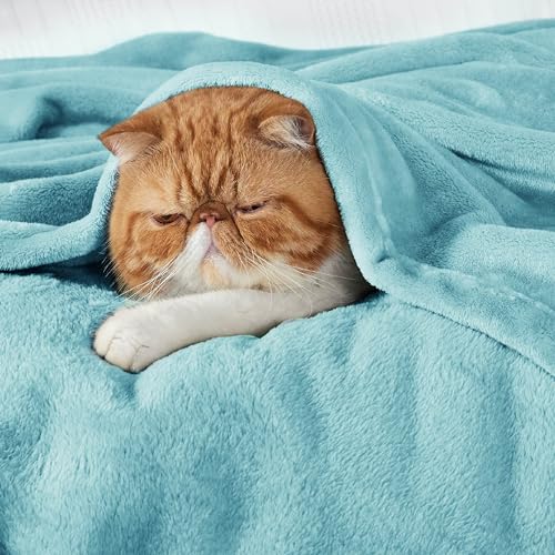 Bedsure Queen Flannel Fleece Bed Blanket - Soft Lightweight Plush, River Blue