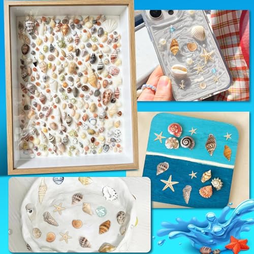 2000 PCS Natural Mini Sea Shells & 20 Starfish for Crafts and Vase Fillers