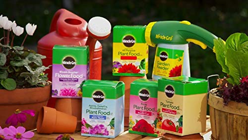 Miracle-Gro Water Soluble Rose Plant Food 1.5 lb. (2-Pack) for Boosting Bloom Size