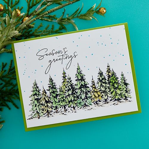 Spellbinders BP-073 Seasons Greetings Evergreens Press Plate & Die Set from The More BetterPress Christmas Collection