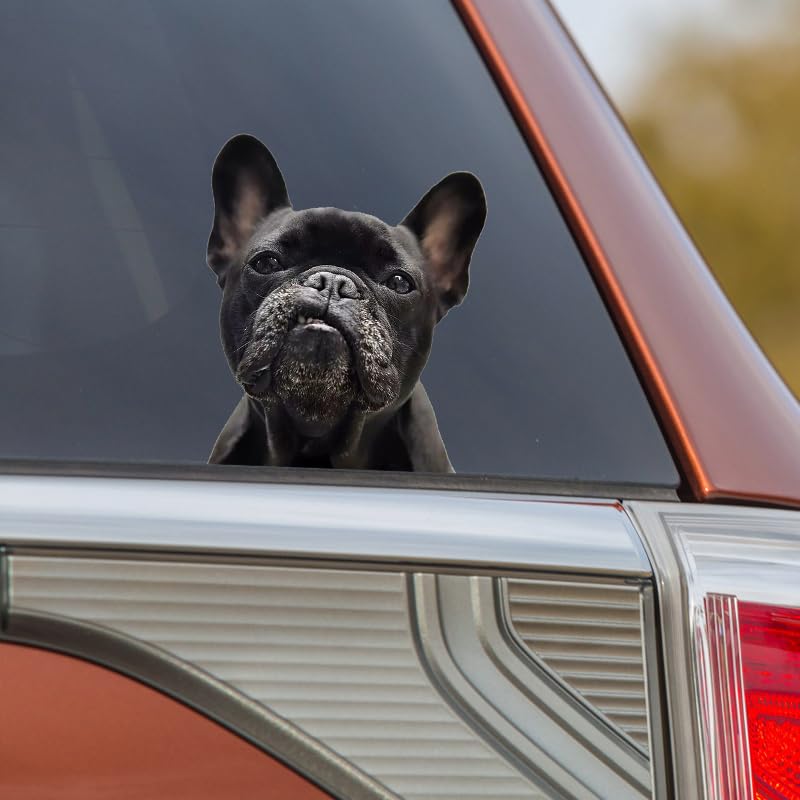 2-Pack Black French Bulldog Car Stickers - Waterproof Vinyl Decals