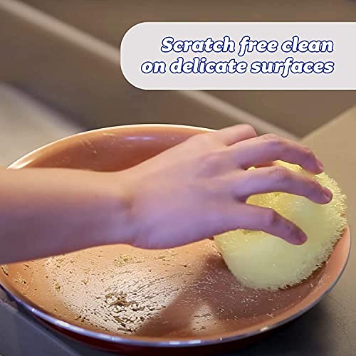 Scrub Daddy Grey Multipurpose Dish Sponge - Scratch-Free, Odor Resistant, Flexible Kitchen Cleaner